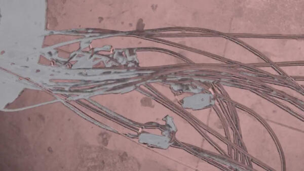 SEO Image Rhizom Festival